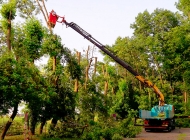 PIPAL-Transporte: Unser Kran im Einsatz mit Arbeitskorb - 4 • Bruck an der Leitha, Niederösterreich